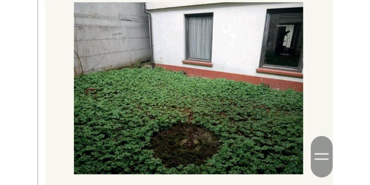 Einfamilienhaus Triberg im Schwarzwald - 7 Zimmer, 185 m&sup2;, 79.000&euro; | Angebot:25635661