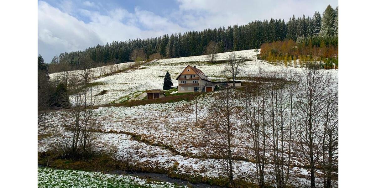 Etagenwohnung Unterkirnach - 2 Zimmer, 60 m&sup2;, 540&euro; | Angebot:25233072