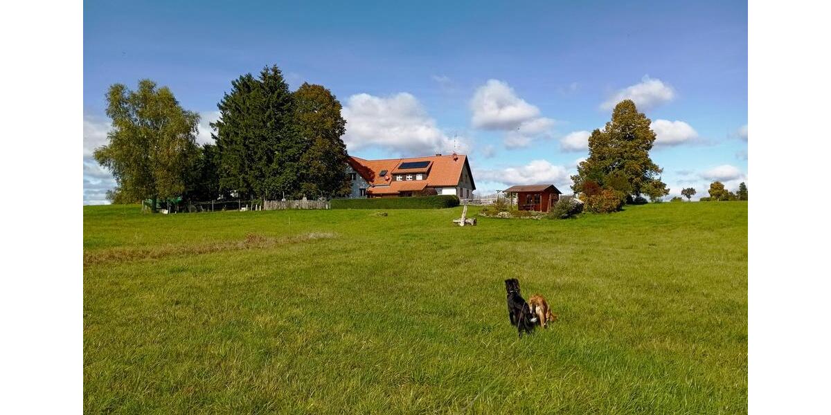 Doppelhaushälfte Friedenweiler - 7.5 Zimmer, 240 m&sup2;, 2.475&euro; | Angebot:26581249