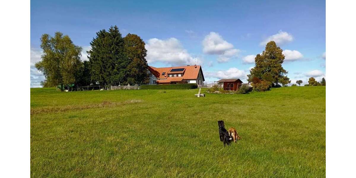 Einfamilienhaus Rötenbach Rötenbach - 7.5 Zimmer, 240 m&sup2;, 955.000&euro; | Angebot:24618560