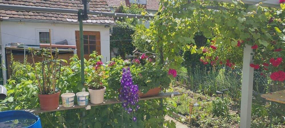 Reihenmittelhaus Tuttlingen - 3 Zimmer, 120 m&sup2;, 385.900&euro; | Angebot:25863002