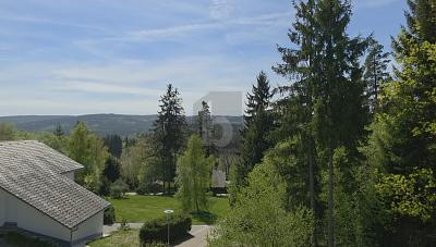 PANORAMA-PERLE IM HEILKLIMATISCHEN KURORT - Wohnung Lenzkirch | Angebot:26715104