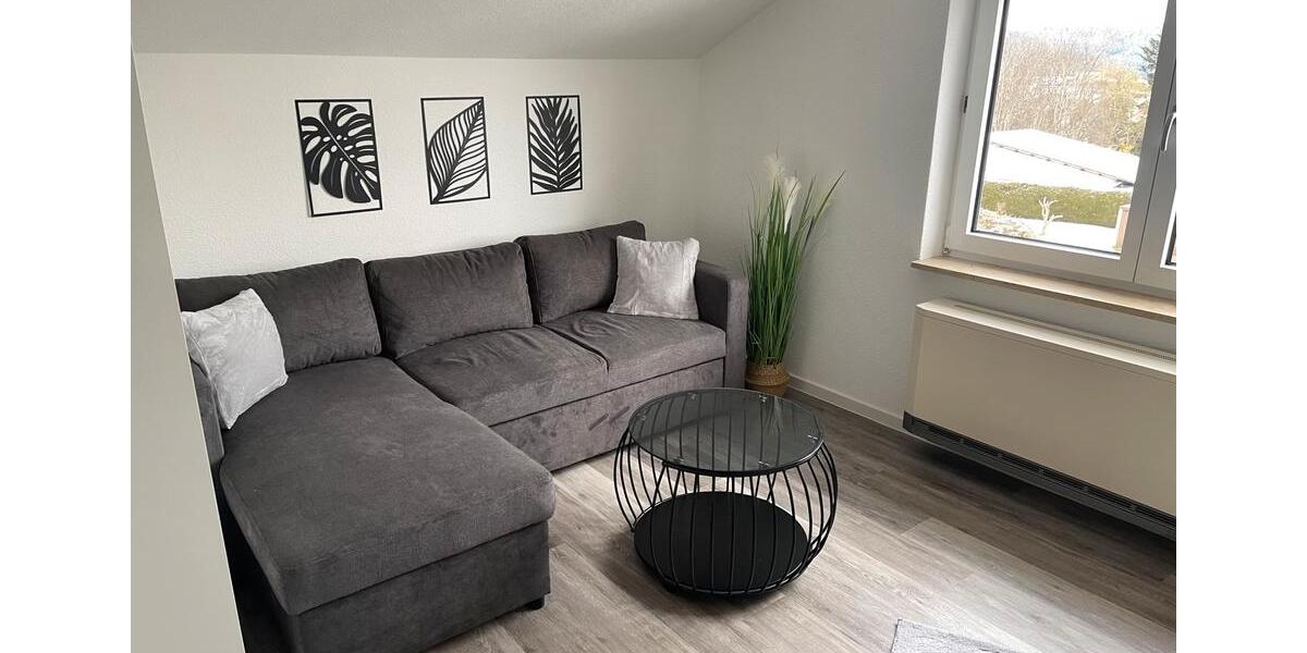 Dachgeschoßwohnung Denkingen - 1 Zimmer, 35 m&sup2;, 520&euro; | Angebot:26645519