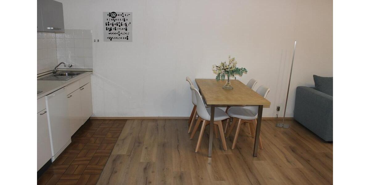 Terrassenwohnung Schonach Im Schwarzwald - 1 Zimmer, 56 m&sup2;, 650&euro; | Angebot:25870569