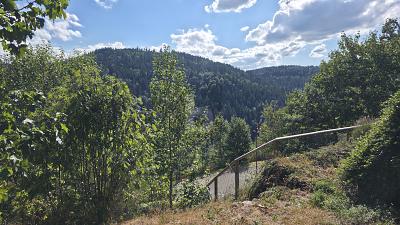 MEHRPARTEIEN MÖGLICH - IM LUFTKURORT - Grundstück Triberg | Angebot:27321425