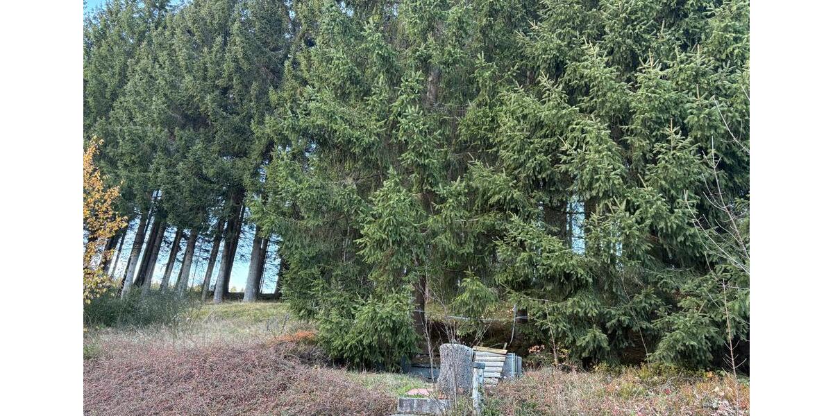 Reihenhaus Schönwald im Schwarzwald - 3 Zimmer, 82 m&sup2;, 900&euro; | Angebot:25843298