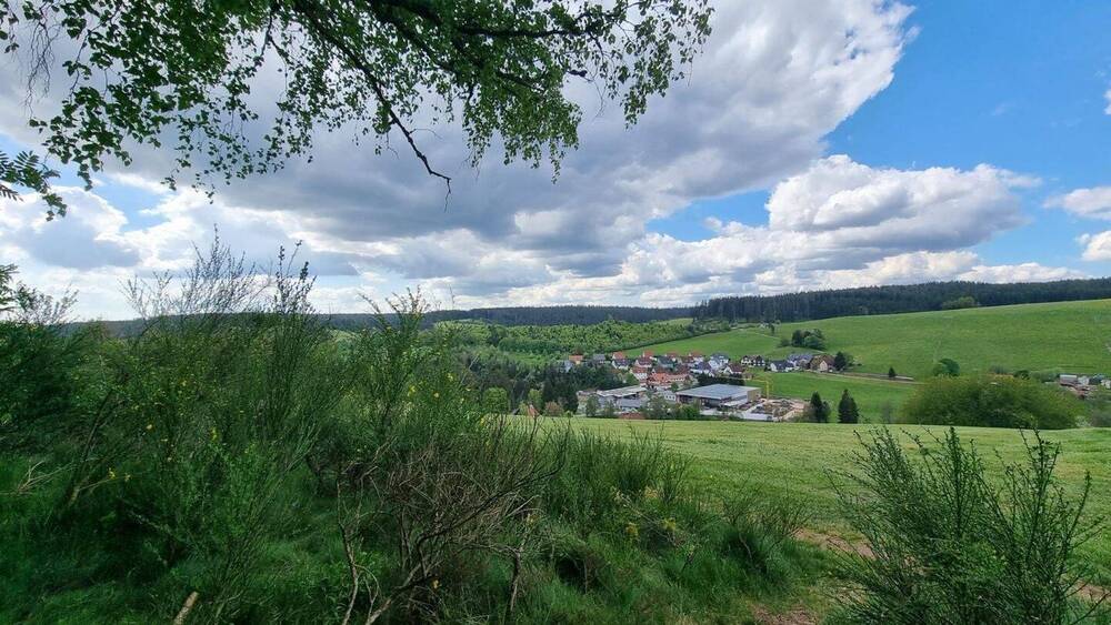 Etagenwohnung Unterkirnach - 3 Zimmer, 100 m&sup2;, 950&euro; | Angebot:25777669