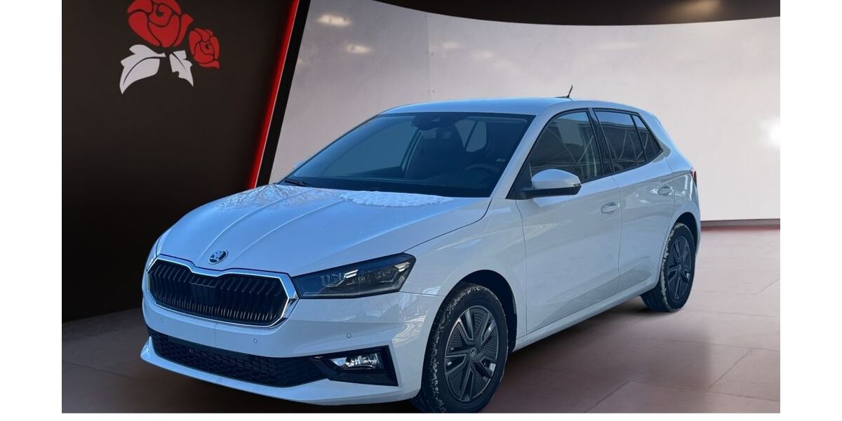 Skoda Fabia 6.506 km 24.989 &euro; Villingen-Schwenningen 78052