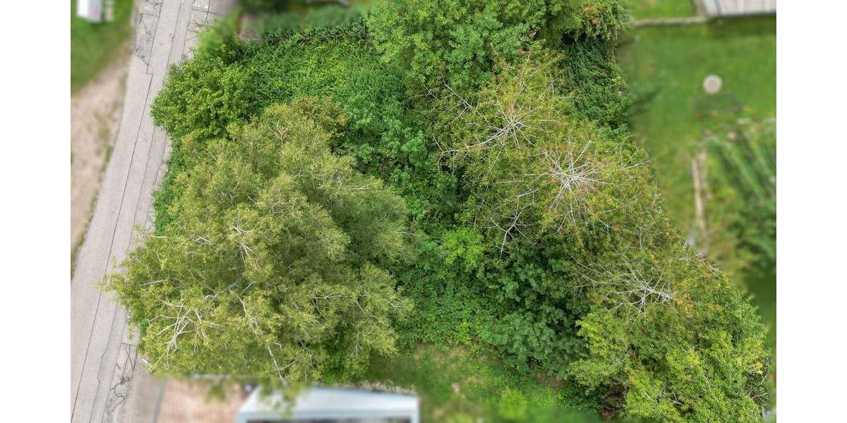 Grundstück Bräunlingen-Döggingen Döggingen - 60.000&euro; | Angebot:26436856