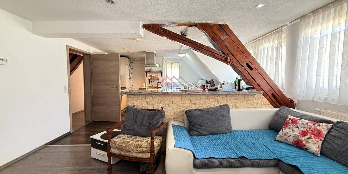 Mehrfamilienhaus, Wohnhaus Tuttlingen - 1 Zimmer, 353 m&sup2;, 699.000&euro; | Angebot:25667758