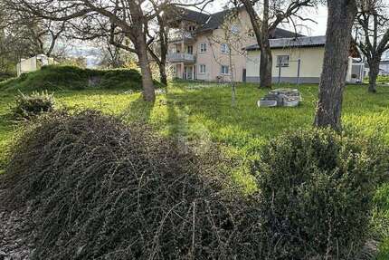 Grundstück Wutach - 65.000&euro; | Angebot:26753669
