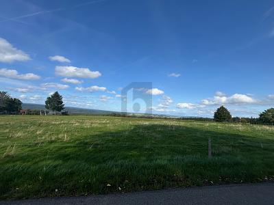 FAMILIEN MIT KLEINEN KINDERN AUFGEPASST! - Grundstück Bonndorf im Schwarzwald | Angebot:26543817
