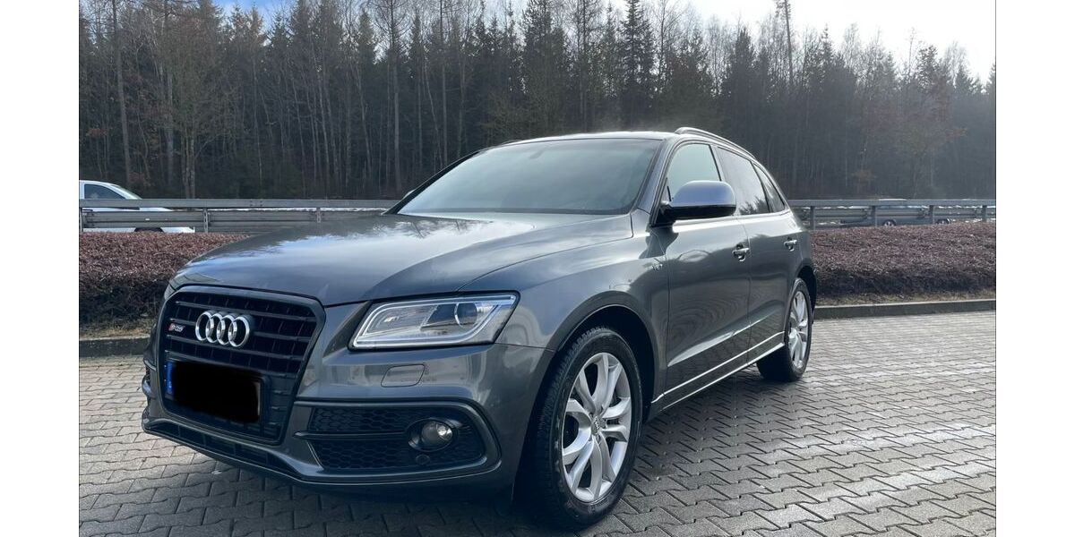 Audi SQ5 125.000 km 25.000 &euro; Villingen-Schwenningen 78054