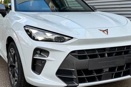 Cupra Terramar 11.000 km 39.390 &euro; Titisee-Neustadt 79822
