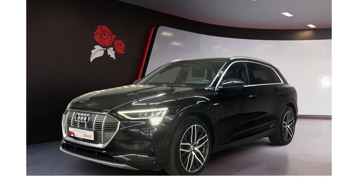 Audi e-tron 110.000 km 26.000 &euro; Villingen-Schwenningen 78052