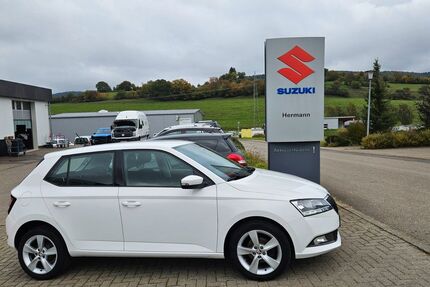 Skoda Fabia 140.600 km 8.600 &euro; Seitingen-Oberflacht 78606