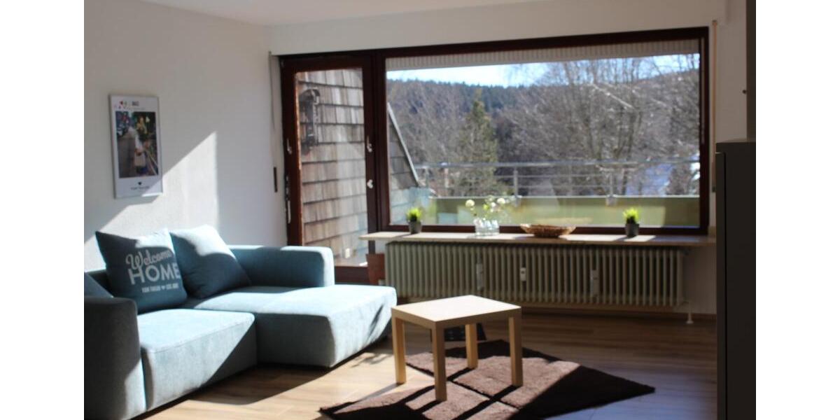 Terrassenwohnung Schonach Im Schwarzwald - 1 Zimmer, 56 m&sup2;, 650&euro; | Angebot:25870569