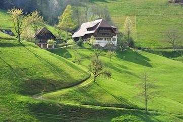 Doppelhaushälfte Sankt Georgen im Schwarzwald Stadtgebiet - 5 Zimmer, 134 m&sup2;, 459.500&euro; | Angebot:25666362