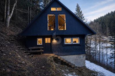 RÜCKZUGSORT MIT STIL - WALDCHALET - Haus Lauterbach | Angebot:25940012