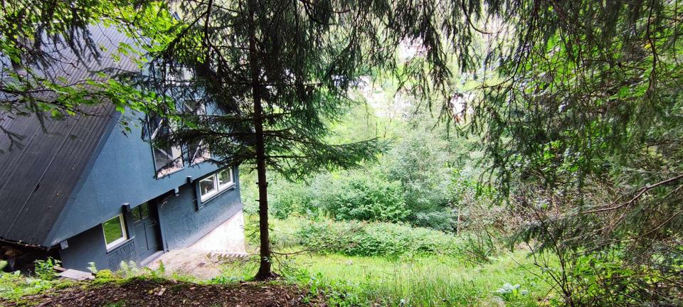 Einfamilienhaus Lauterbach - 3 Zimmer, 150 m&sup2;, 1.000&euro; | Angebot:20970242