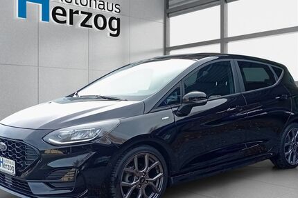 Ford Fiesta 18.800 km 17.990 &euro; Schramberg 78713