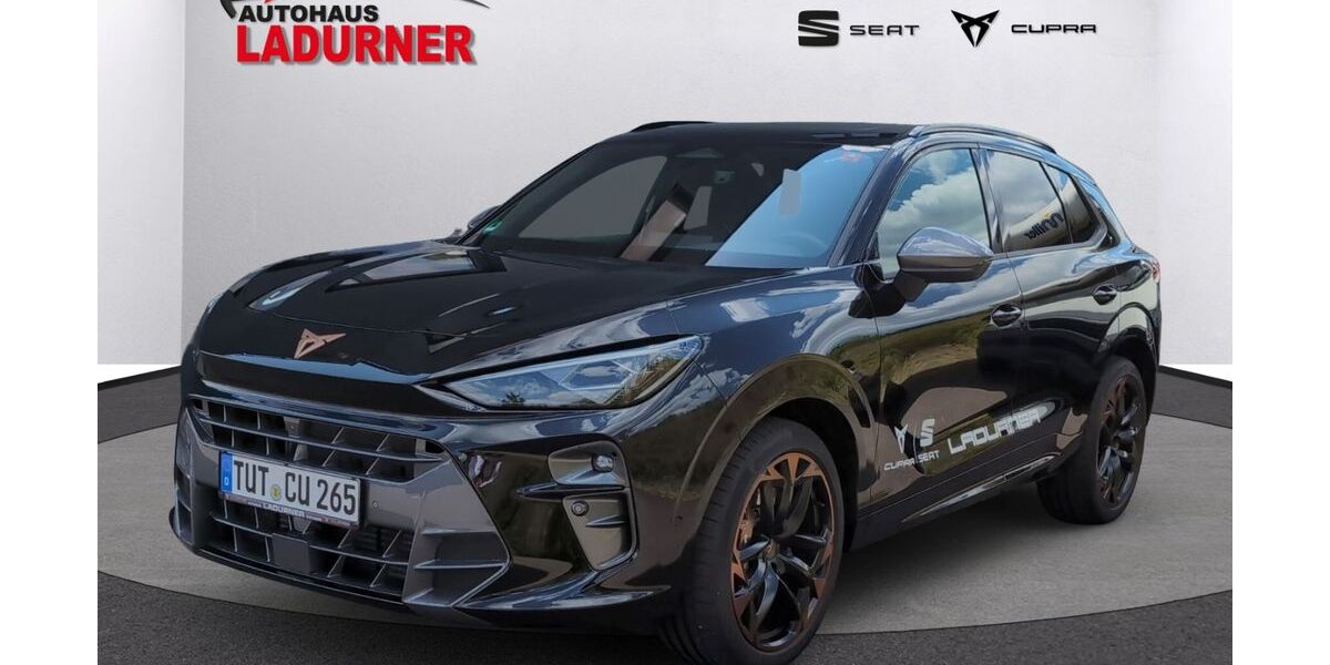 Cupra Terramar 14.250 km 49.830 &euro; Tuttlingen 78532