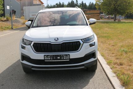 Skoda Kodiaq 100.000 km 25.990 &euro; Aichhalden-Rötenberg 78733