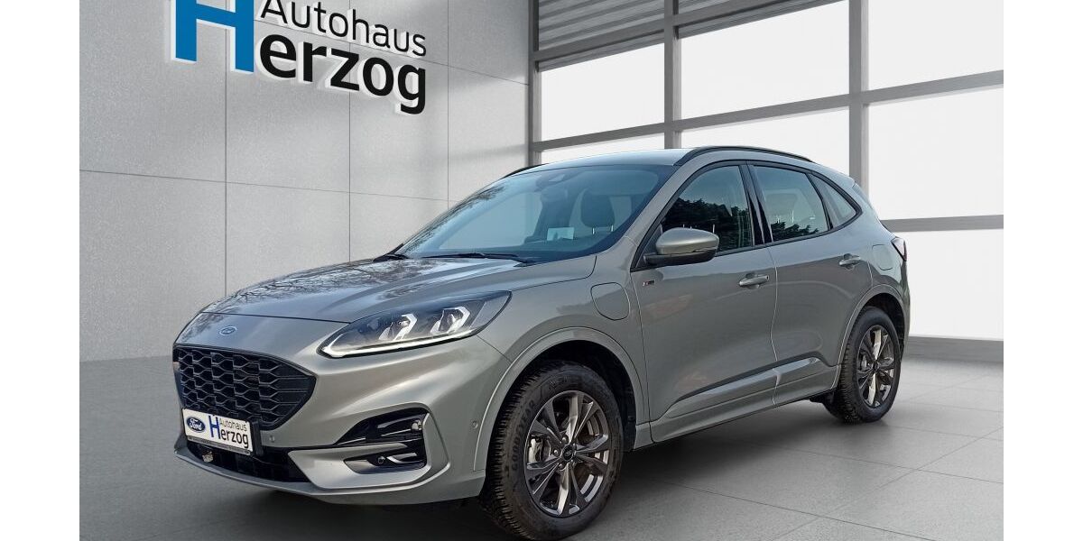 Ford Kuga 21.072 km 28.990 &euro; Schramberg 78713