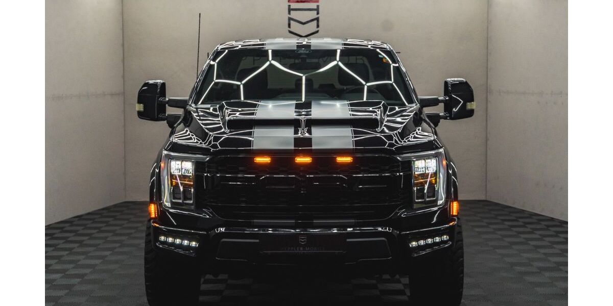 Ford F 150 60.000 km 48.000 &euro; Geisingen 78187