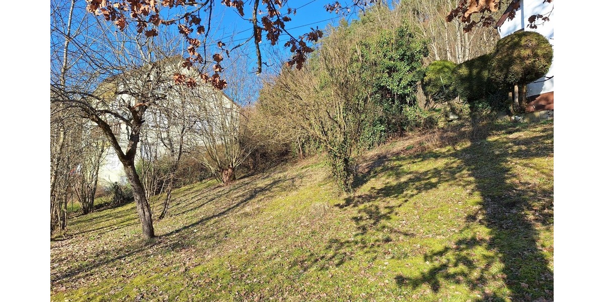 Bauernhaus, Landhaus Reichenbach - 9 Zimmer, 195 m&sup2;, 99.000&euro; | Angebot:25670856