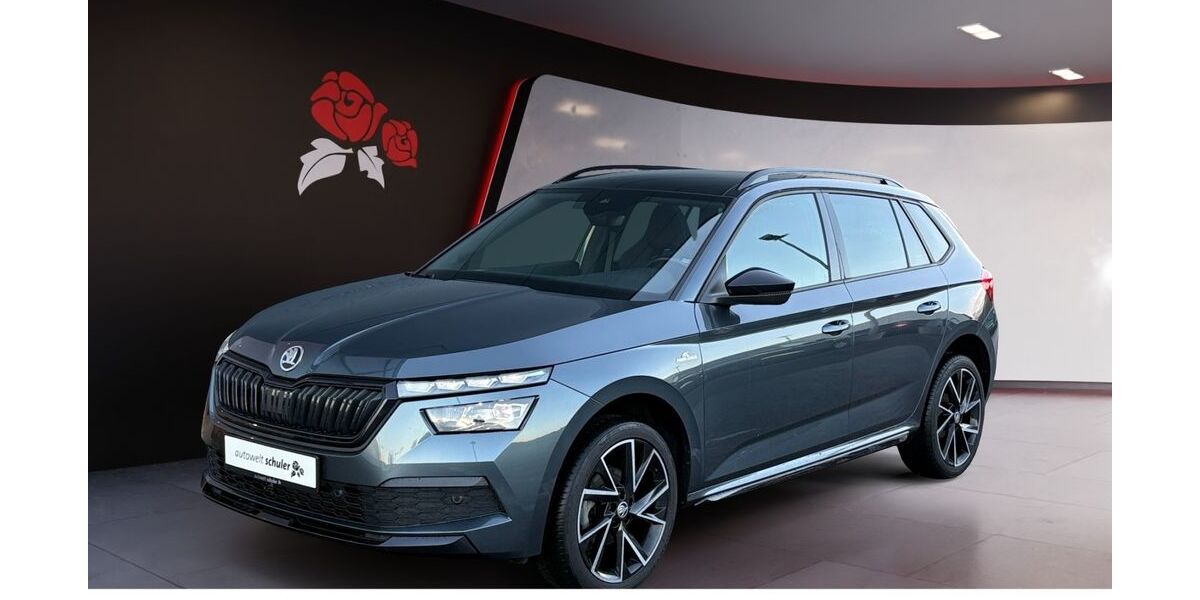 Skoda Kamiq 61.600 km 21.949 &euro; Donaueschingen 78166