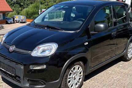 Fiat Panda 33.000 km 11.995 &euro; Bonndorf-Wellendingen 79848