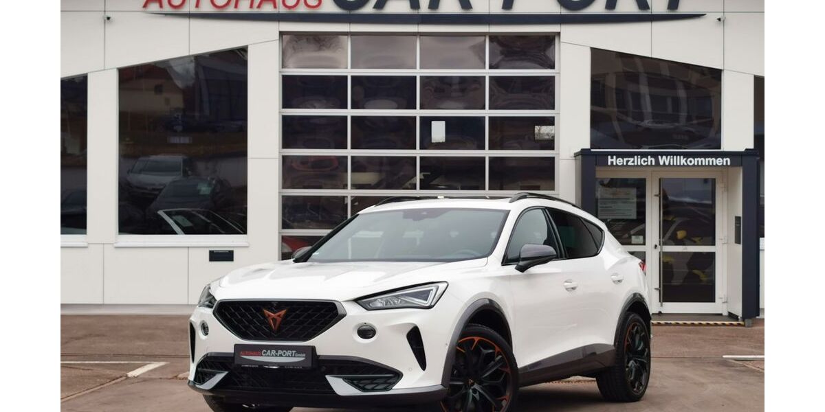 Cupra Formentor 46.700 km 28.490 &euro; Deißlingen 78652