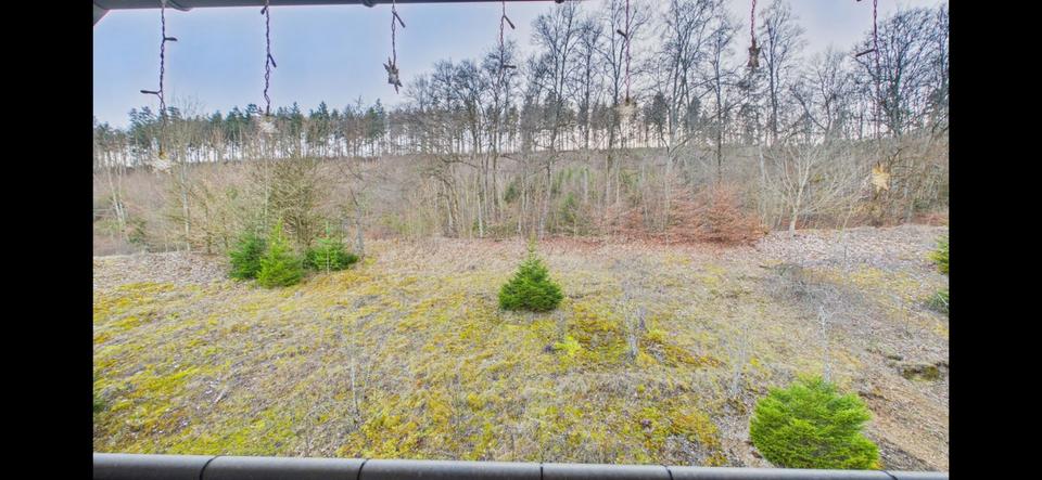 Etagenwohnung Immendingen - 5 Zimmer, 106 m&sup2;, 340.000&euro; | Angebot:26751430