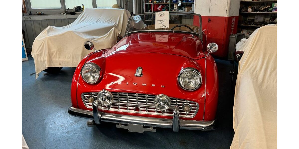 Triumph TR3 65.408 km 28.000 &euro; Löffingen 79843