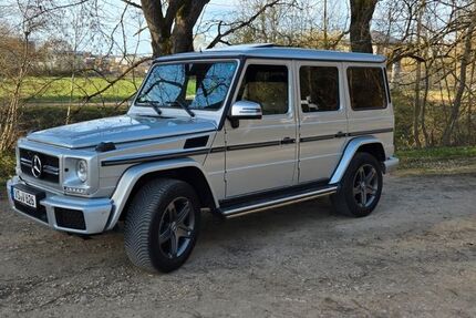 Mercedes-Benz G 350 178.000 km 58.000 &euro; Donaueschingen 78166