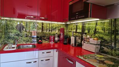 PANORAMA-PERLE IM HEILKLIMATISCHEN KURORT - Etagenwohnung Lenzkirch | Angebot:27329287