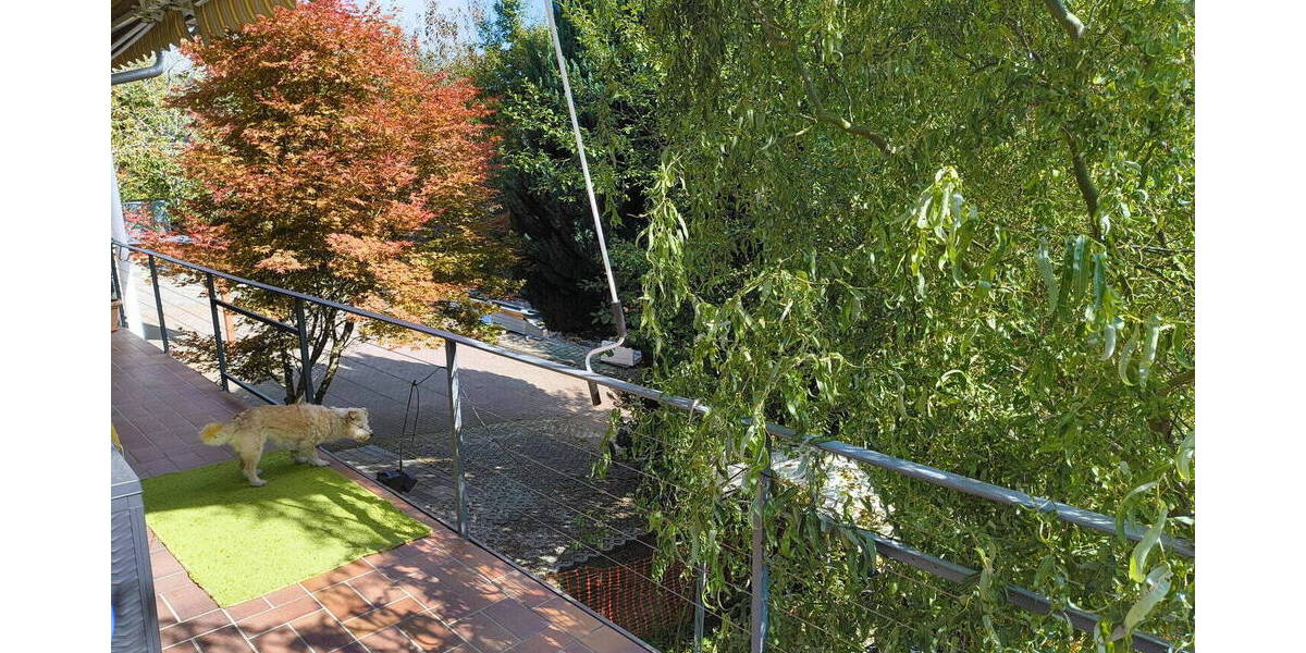 Einfamilienhaus Oberndorf am Neckar Aistaig - 1 Zimmer, 330 m&sup2;, 790.000&euro; | Angebot:25654188