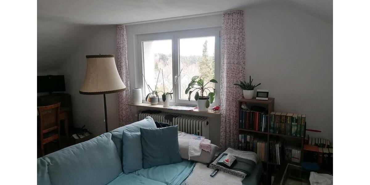 Dachgeschoßwohnung Furtwangen im Schwarzwald - 2 Zimmer, 55 m&sup2;, 630&euro; | Angebot:25407212