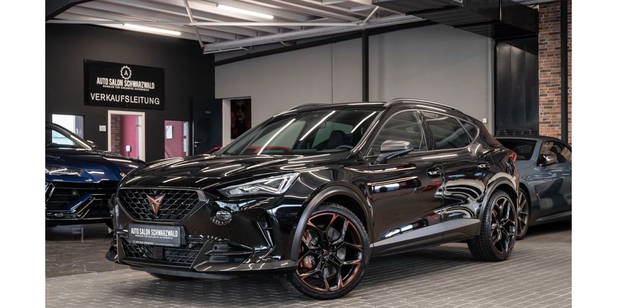 Cupra Formentor 47.844 km 37.430 &euro; Trossingen 78647