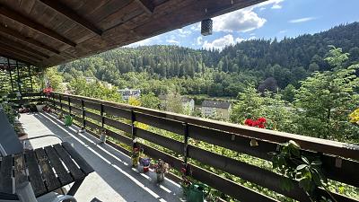 IDYLLE, NATUR & ERHOLUNG MIT SCHÖNSTER AUSSICHT - Haus Triberg | Angebot:26944999