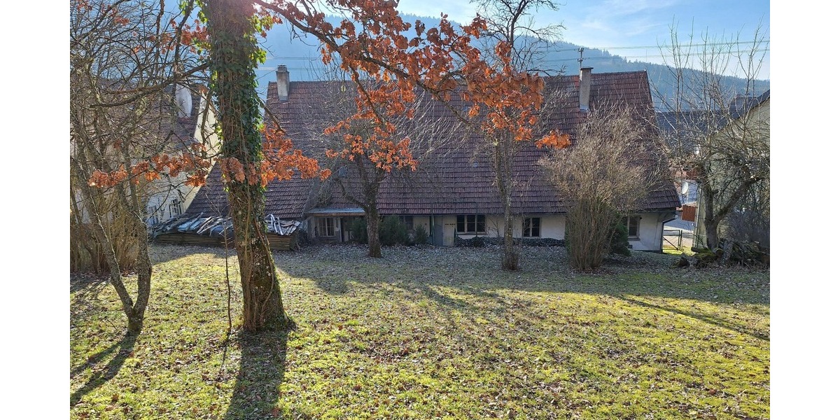 Bauernhaus, Landhaus Reichenbach - 9 Zimmer, 195 m&sup2;, 99.000&euro; | Angebot:25670856